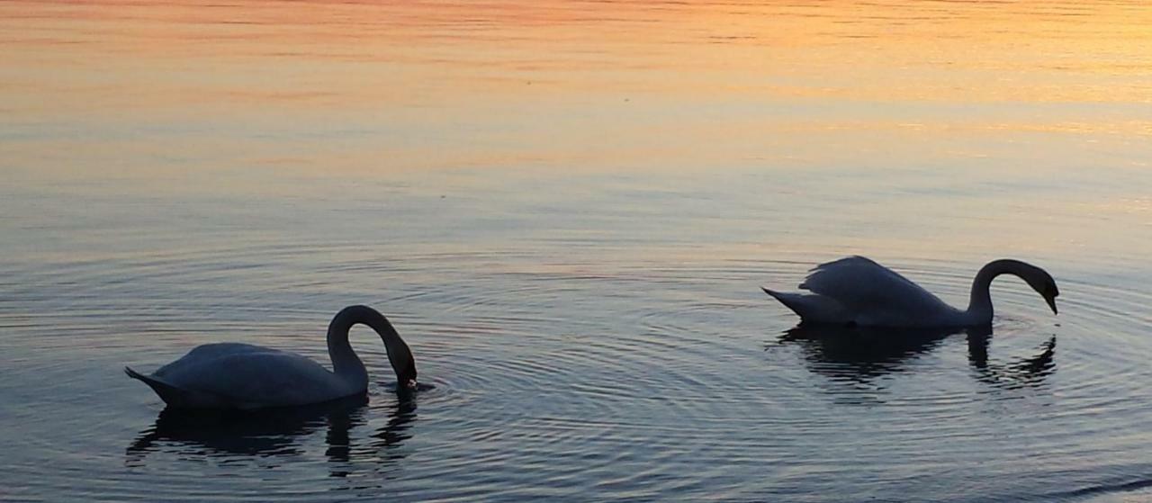 Apartamento I Tulipani Di Anna Castiglione del Lago Exterior foto