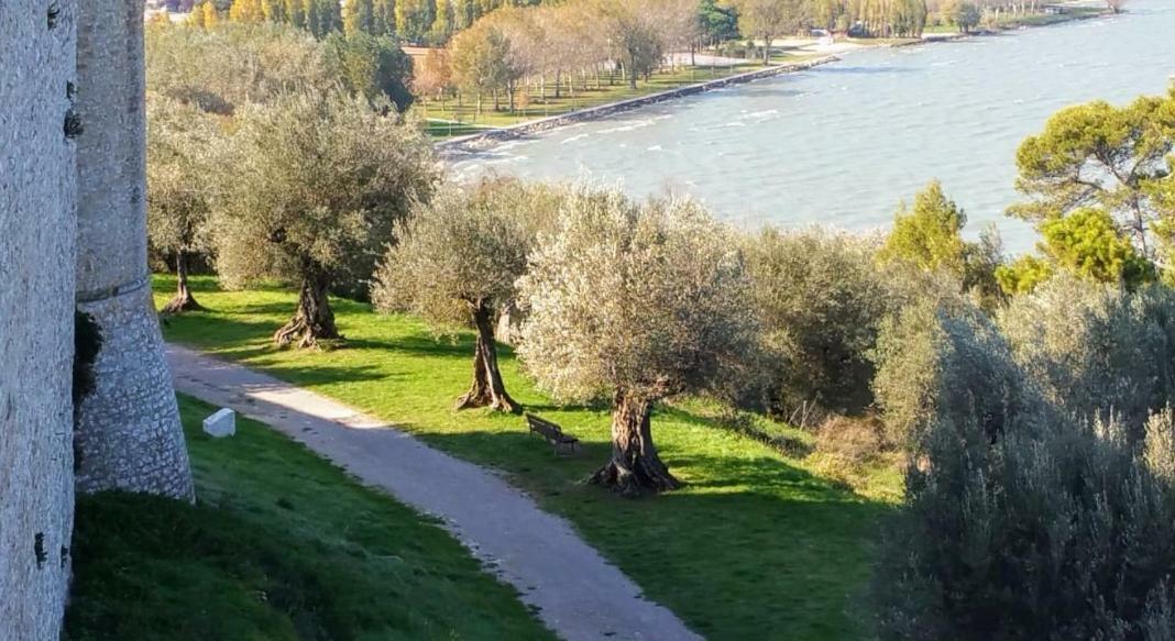 Apartamento I Tulipani Di Anna Castiglione del Lago Exterior foto